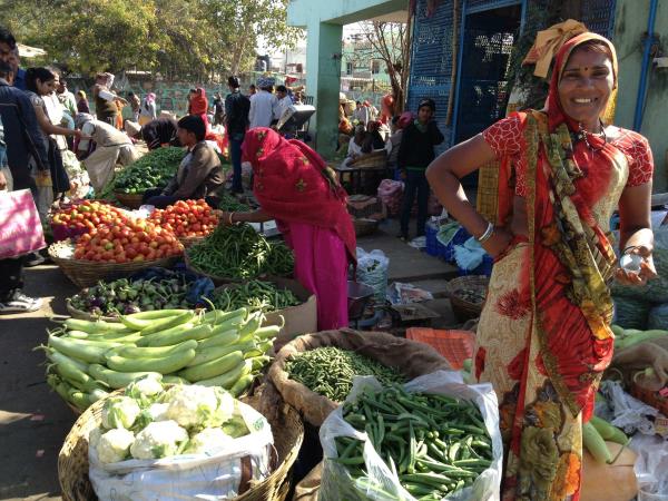 Vegan holiday in India