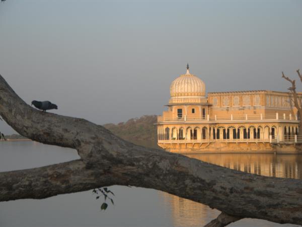 Vegan holiday in India