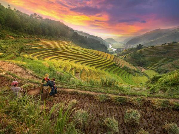 Vietnam tailor made holiday, the North West