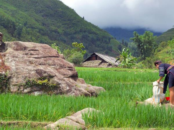 Vietnam tailor made holiday, the North West
