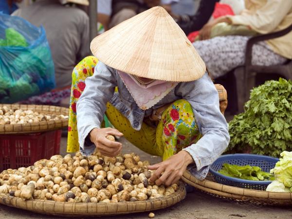 South Vietnam tailor made holiday