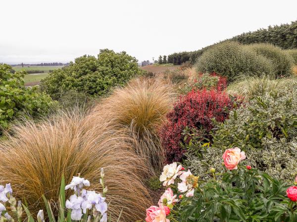 New Zealand gardens tour of Otago