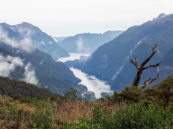 Doubtful Sound and South Island tour, New Zealand