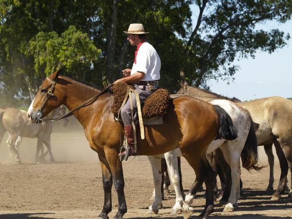 Argentina Family Holiday