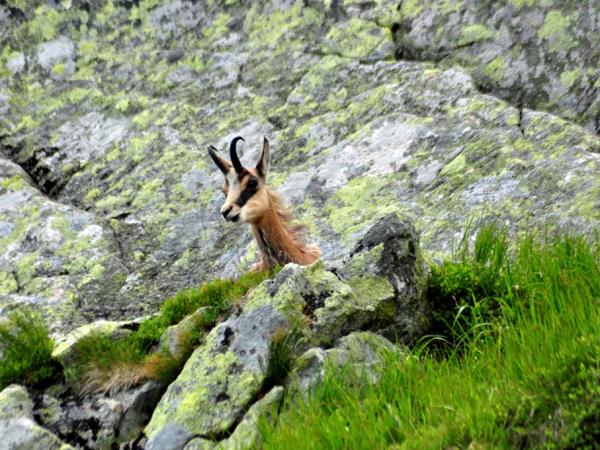 Poland and Slovakia family holiday