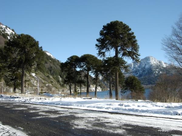 Argentina & Chile Patagonia holiday