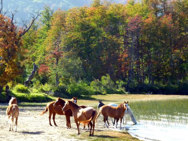 Argentina & Chile Patagonia holiday