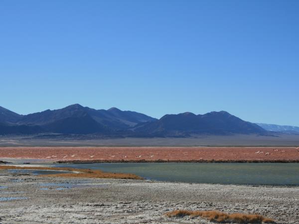 Argentina desert tour, extreme north