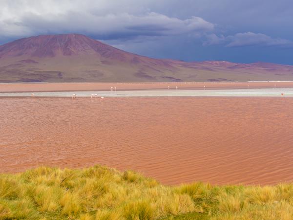 Bolivia small group tour, Bolivia uncovered