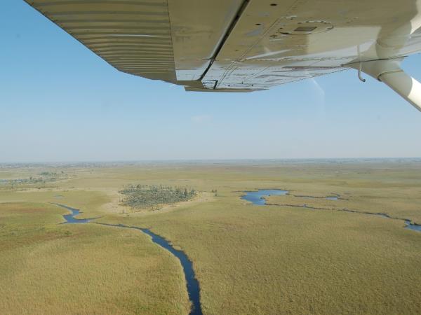 Botswana flying safari, tailor made