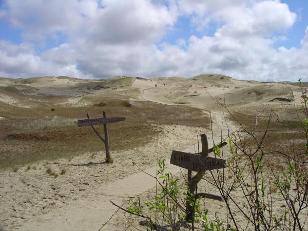 Baltic Coast small group cycling holiday
