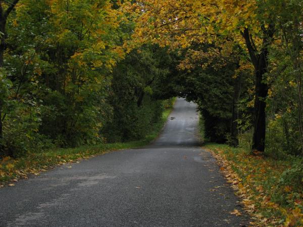 Baltic Coast small group cycling holiday