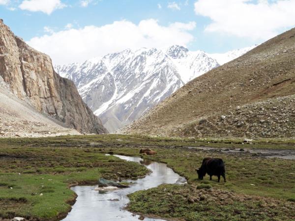 Pakistan Hindu Kush holiday