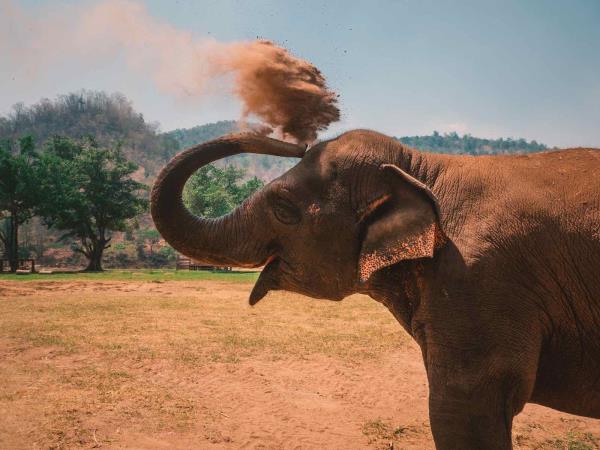Thailand tailor made holiday, history & culture