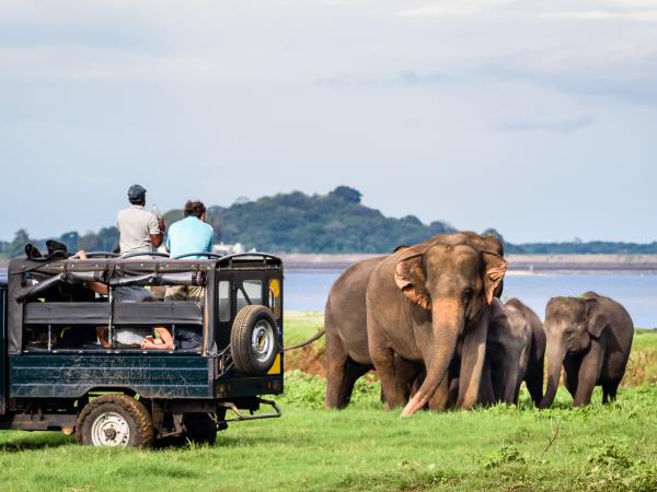 Sri Lanka cycling holiday, tailor made