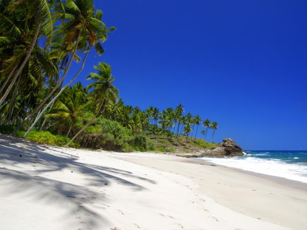 Sri Lanka cycling holiday, tailor made