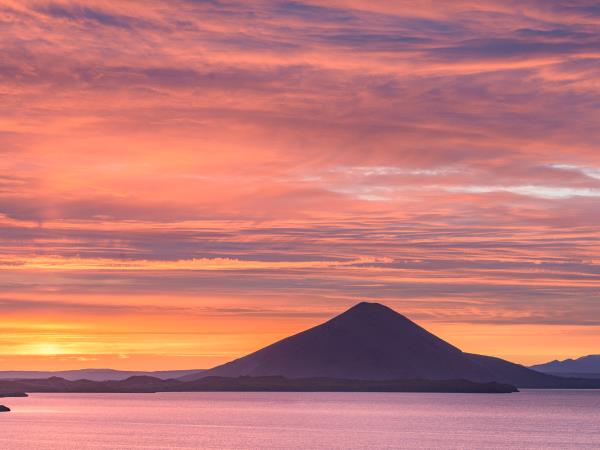 Iceland birds & landscapes photography tour