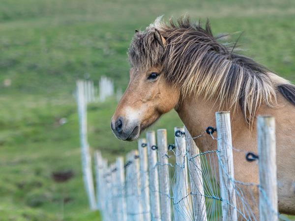 Iceland Highlands photography tour, waterfalls & canyons