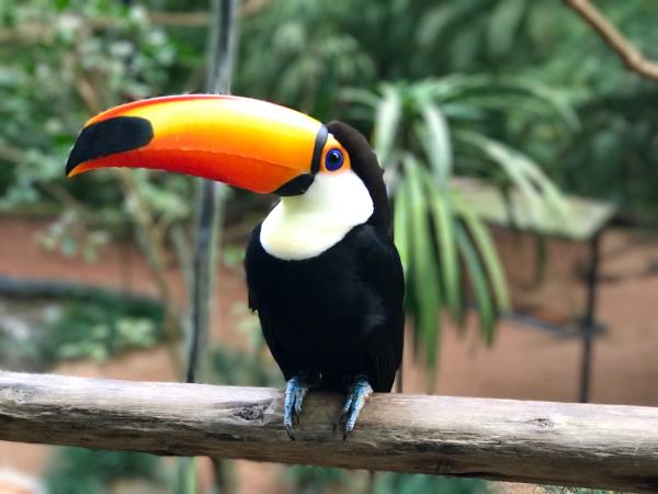 Argentina wildlife tour