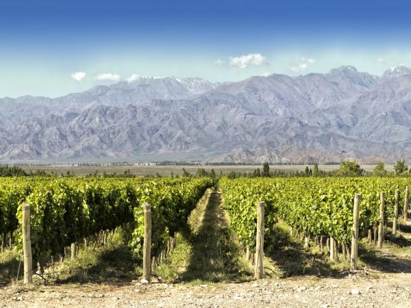 Argentina wine and culture tour