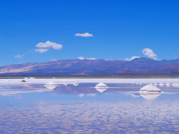 Argentina wine and culture tour