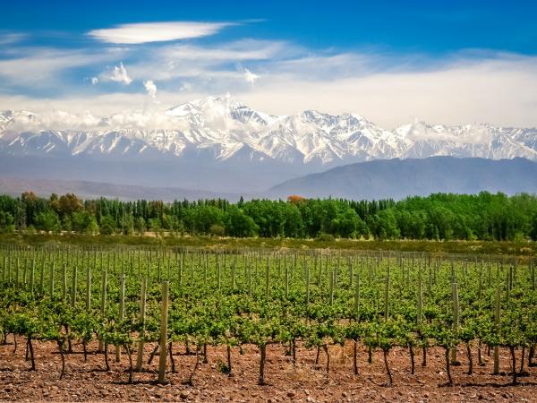 Argentina wine and culture tour