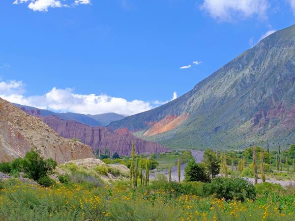 Argentina wine and culture tour