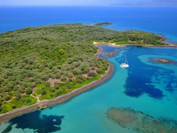 Seal conservation holiday in Greece