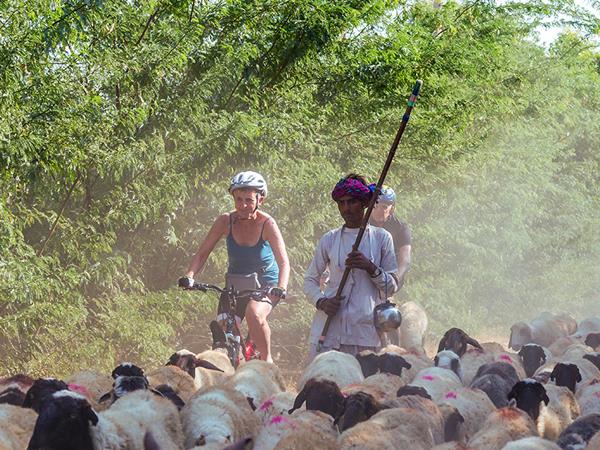 Rajasthan cycling tour, Udaipur to Jodhpur