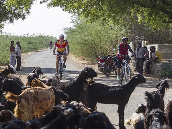 Rajasthan cycling tour, Udaipur to Jodhpur