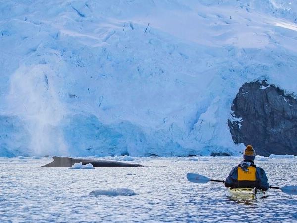 Journey to the Antarctic circle holiday