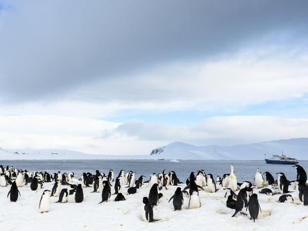 Journey to the Antarctic circle holiday