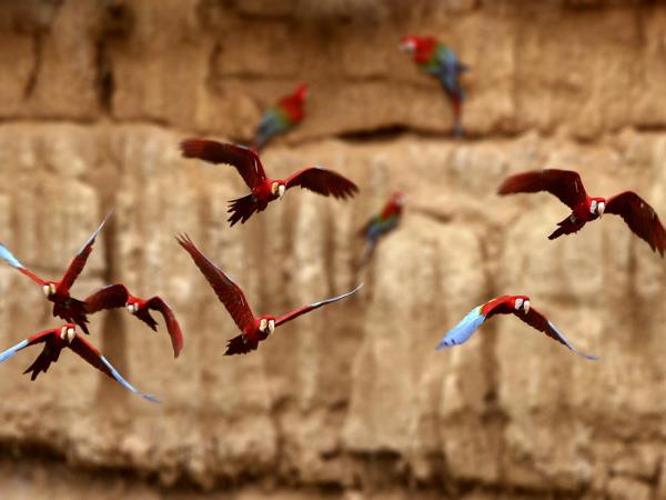 Complete Peru holiday, Pacific to the Andes