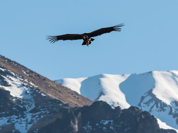 Complete Peru holiday, Pacific to the Andes