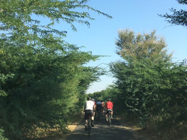 Cycling tour of Rajasthan with Taj Mahal