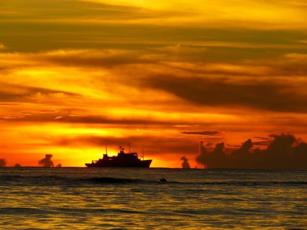 Melanesia cruise, wildlife cruise