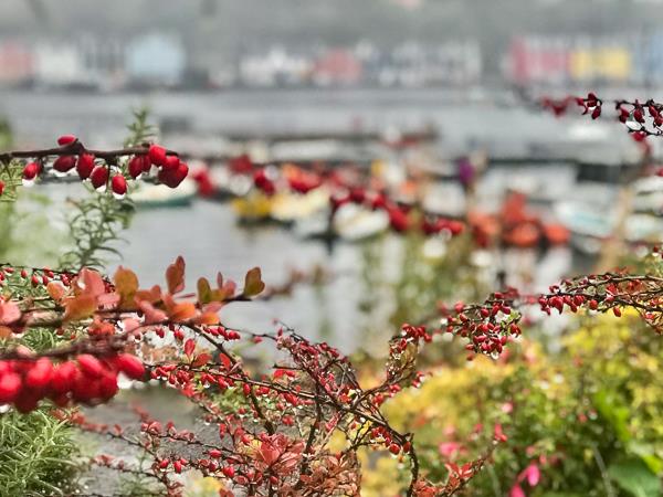Photography and sailing holiday in Scotland