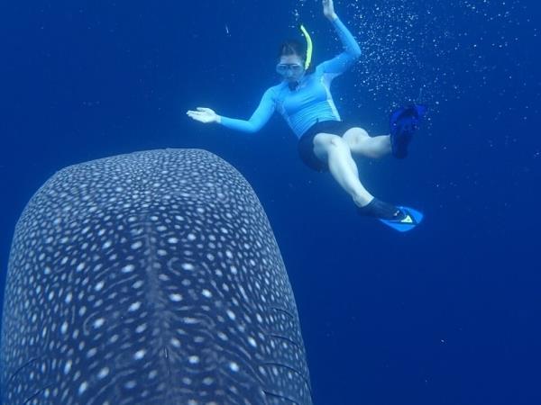 Indonesian Islands expedition cruise
