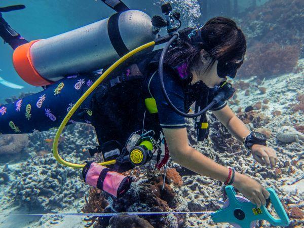 Raja Ampat diving project, Indonesia