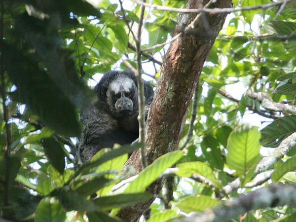 Galapagos cruise and Ecuador tour