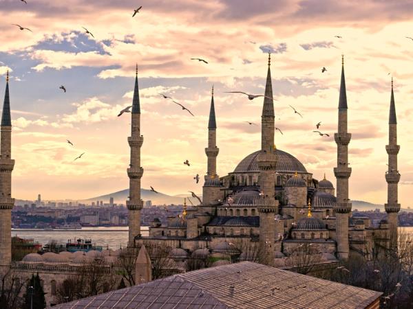 Muslim civilisation tour
