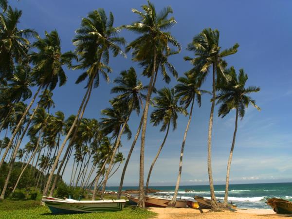 Halal friendly Sri Lanka tour