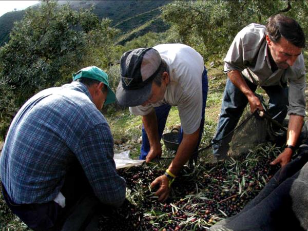 Cooking and walking holiday, Spanish Pyrenees