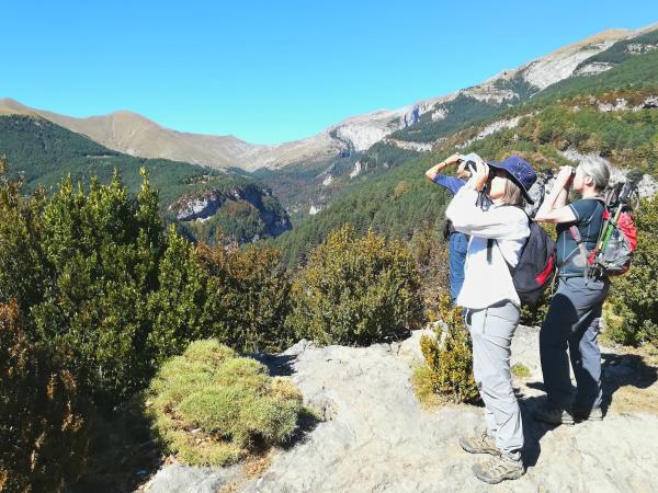 Cooking and walking holiday, Spanish Pyrenees