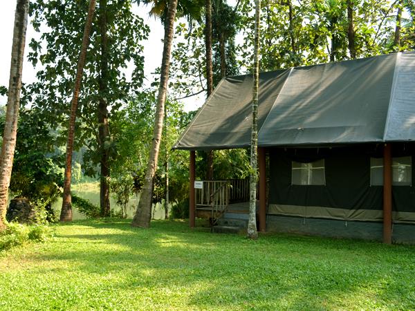 Western Ghats wildlife tour in India