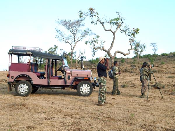 Western Ghats wildlife tour in India