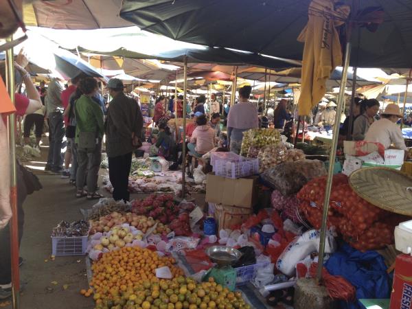 Vegan tour in Laos