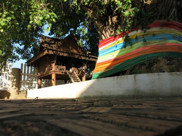 Vegan tour in Laos