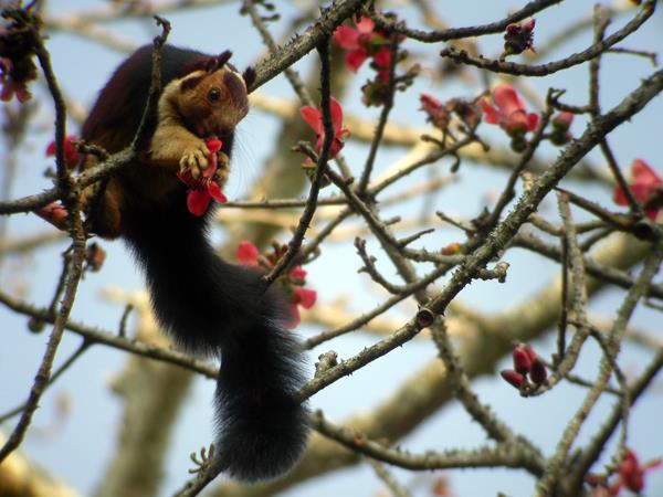 Western Ghats walking tour in India