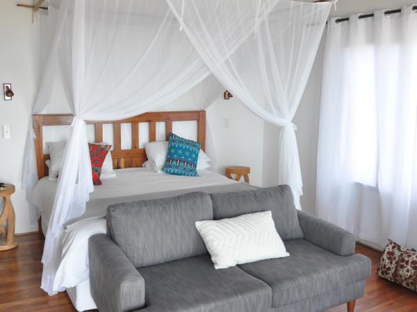 Mozambique beach holiday with ocean safaris